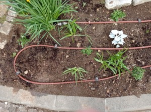 Photo de galerie - On a créé un système d'arrosage automatique 