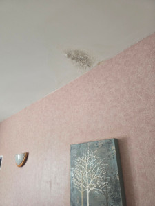 Photo de galerie - Avant