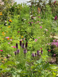 Photo de galerie - Jardinier