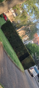 Photo de galerie - À Strasbourg  
