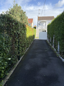 Photo de galerie - Taille de haies