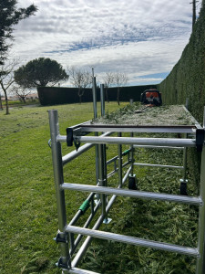 Photo de galerie - Taille d’une haie de cyprès de leyland 