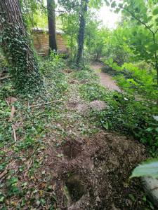 Photo de galerie - Clôture Grillage