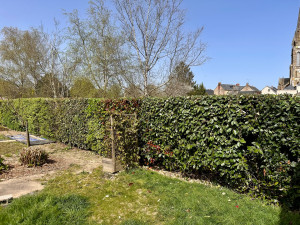 Photo de galerie - Voilà le résultat final, des clients ravis !