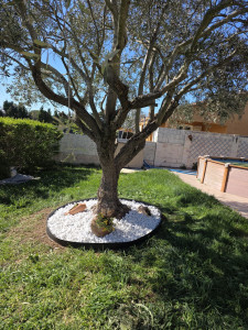 Photo de galerie - Paysagiste - Aménagement du jardin