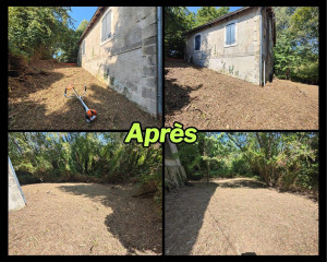 Photo de galerie - Tonte de pelouse - Débroussaillage