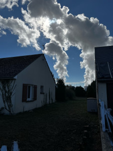 Photo de galerie - Évacuation de déchets verts - 4 b
