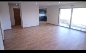Photo de galerie - Sous-couche, parquet flottant, plinthes, finition acrylique,barre de seuil...
