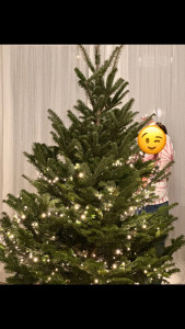 Photo de galerie - Activité décoration sapin 