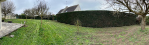 Photo de galerie - Taille de haie 