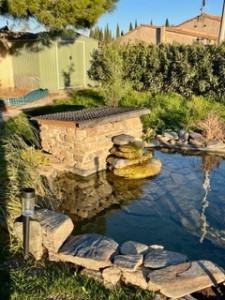 Photo de galerie - Création d’un bassin avec cascade