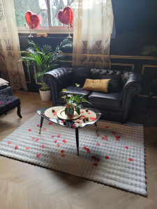 Photo de galerie - Prestation Airbnb