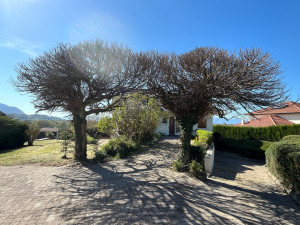 Photo de galerie - Taille d arbres 