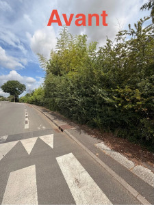 Photo de galerie - Paysagiste - Aménagement du jardin