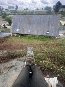 Photo de galerie - Taille et nettoyage d’un talus qui n’a pas été nettoyé depuis 3 ans 