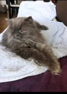 Photo de galerie - Repos mérité !