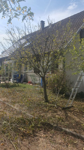 Photo de galerie - Après