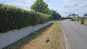 Photo de galerie - Suit