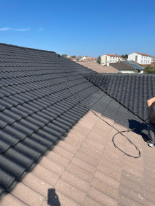 Photo de galerie - Peinture - Tapisserie