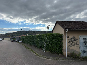 Photo de galerie - Taille de haies 