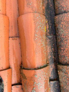 Photo de galerie - Couverture - Toiture