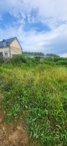Photo de galerie - Tonte de pelouse - Débroussaillage