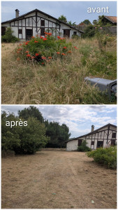 Photo de galerie - Débroussaillage 
