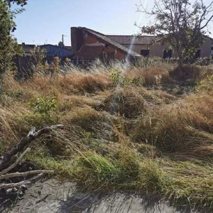 Photo de galerie - Debroussaillage 
