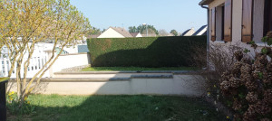 Photo de galerie - Taille de haie