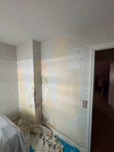 Photo de galerie - Peinture - Tapisserie