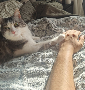 Photo de galerie - Je suis bénévole en protection animale depuis 15 ans. J'ai un petit loulou handicapé et je garde vos chats à votre domicile dans leurs petites habitudes depuis maintenant 2 ans ❤️