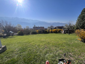 Photo de galerie - Tonte