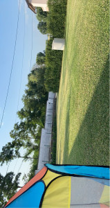 Photo de galerie - Tonte de pelouse