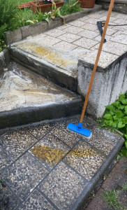 Photo de galerie - Tonte de pelouse - Débroussaillage