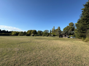 Photo de galerie - Tonte de pelouse - Débroussaillage