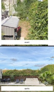 Photo de galerie - Taille et remise en forme des arbustes afin de dégager la façade et de redonner de la lumière à l’espace extérieur.