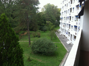 Photo de galerie - Espace vert taille tonte élagage etc …