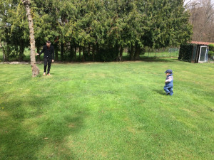 Photo de galerie - Tonte de pelouse débroussaillage 