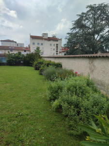 Photo de galerie - Tonte de jardin et coupe de massifs 