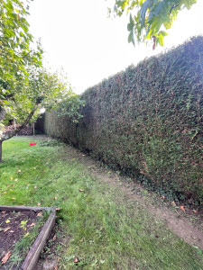 Photo de galerie - Taille de haie