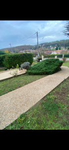 Photo de galerie - Elagage et coupe d'arbres