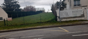 Photo de galerie - Elagage et coupe d'arbres