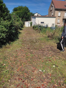 Photo de galerie - Après débroussaillage 