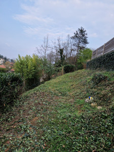 Photo de galerie - Tonte de pelouse - Débroussaillage