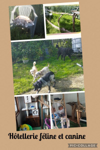 Photo de galerie - Garde animaux