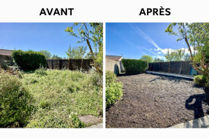 Photo de galerie - Remise en état complète d’un jardin et création d’une nouvelle pelouse 