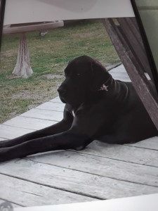 Photo de galerie - Trop  mignone