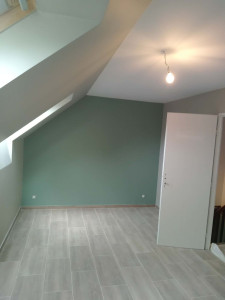 Photo de galerie - La peinture voleur 
