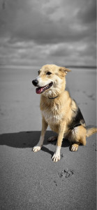 Photo de galerie - ?️ 