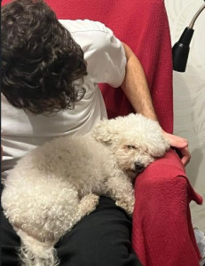 Photo de galerie - Garde d'animaux